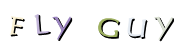 FLY   GUY