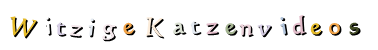 Witzige Katzenvideos