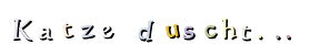 Katze   duscht...