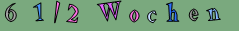 6 1/2 Wochen