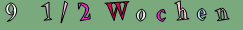 9  1/2 Wochen