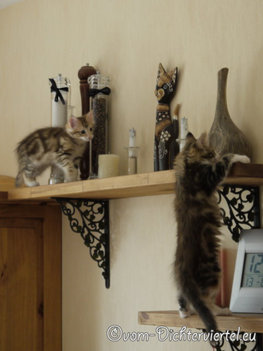 Bella und Bubble